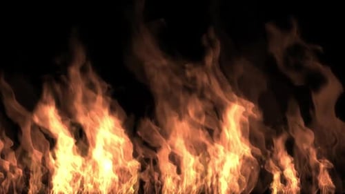 Fire flames on transparent background