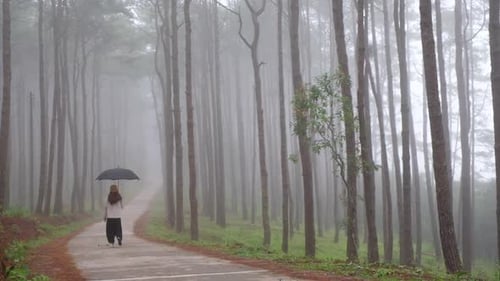 Slow motion rear view of a young woman with umbrella walking alone in the woods on foggy day