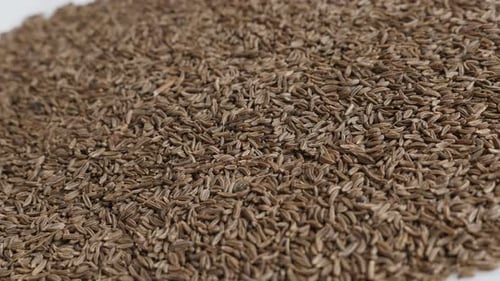Haufen von Meridian-Fenchel Carum carvi Samen 4K Video