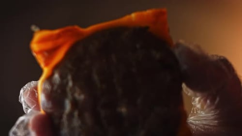 Close Up Burger Patty With Cheese