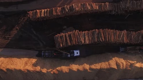 Forestry and logging operations taking place in the highlands of Scotland using large industrial mac