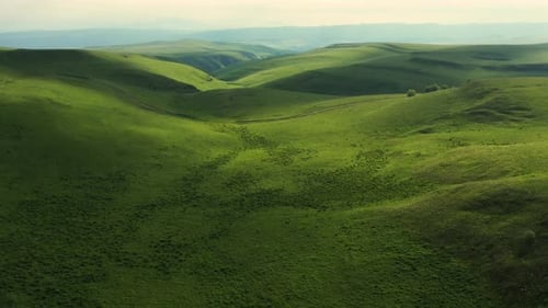 Vista aérea sobre el hermoso paisaje de verano con caminos rurales y campos verdes