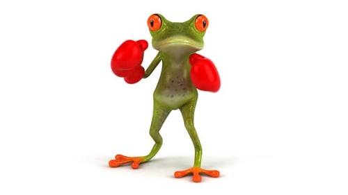 Froschboxen