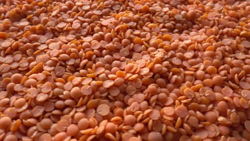 Uncooked Red Lentils Filling the Frame