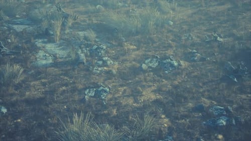 Atmospheric Flight Over Dry Rocky Grassland