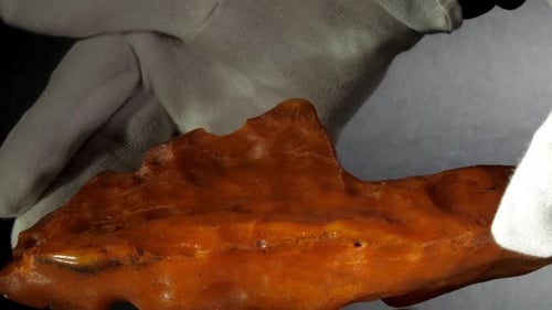 Gemstones Collector Hands Put Large Natural Matt Amber Stone