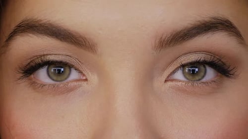 Green Brown Eyes Close-up