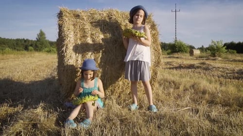 Two Charming Girls Are Eating Sunflower Seeds on Mown Rye in the Field