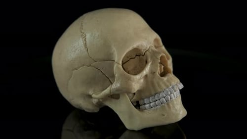 Rotating Skull on Black Reflective Surface