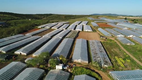 Greenhouses on Farmland from Aerial Perspective on Sunny Day