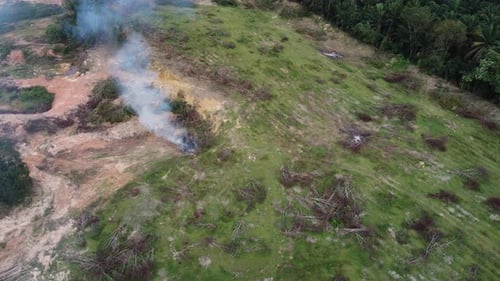Aerial View of Deforestation and Burning