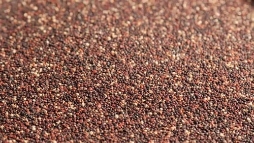 Black raw quinoa rotating