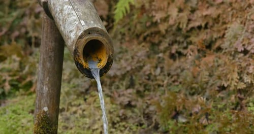 Water from bamboo fountain