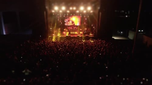 Aerial View of Concert Crowd at Night