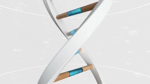 Rotating 3D DNA Double Helix with Scientific Data Display