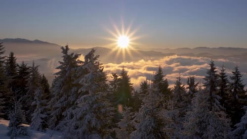 Sunrise