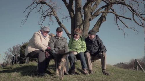 Seniors Sitting on Bench Petting Dog in Nature