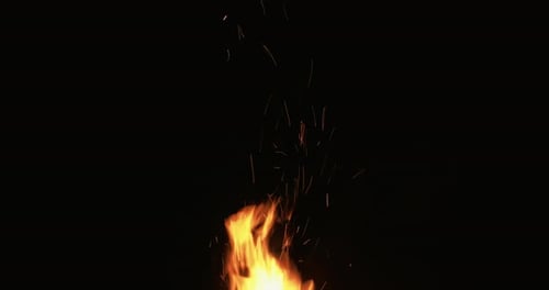 Feuerflamme auf dem schwarzen Feuerwerk Sparks Night Bonfire