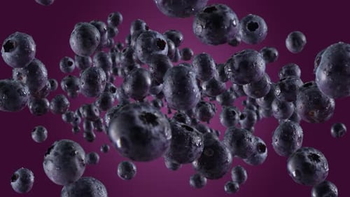 Dynamic Blueberries Falling with Water Droplets