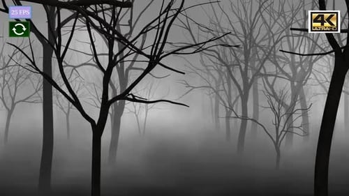 Bosque misterioso A1 4K