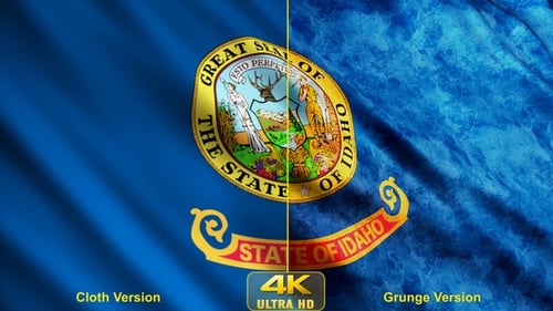 Realistic Waving Idaho Flag Seamless Loop