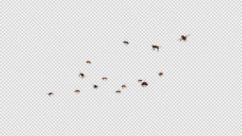 Swarm Bees - Flying Over Screen - 4K Loop