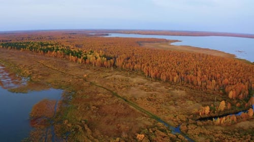 Aerial Top View of Beautiful Lake Surrounded By Colorful Forest in Autumn