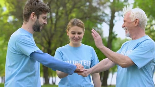 Volunteers Unite in Park for Teamwork Success