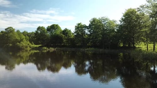 Scenic Lake Reflecting Lush Green Trees in Daytime