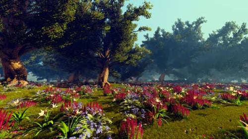 Grove With Meadows Covered With Flowers
