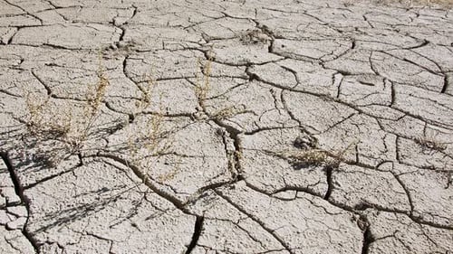 Cracked Dry Earth in Arid Desert Landscape