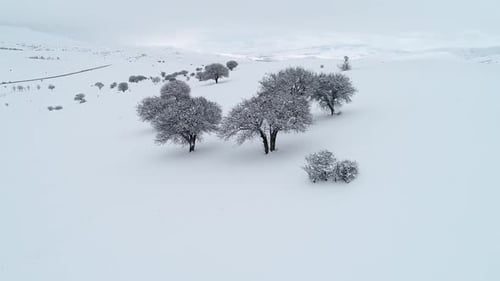Paysage enneigé