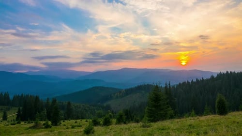 The Mountain Forest on Background of Sunset