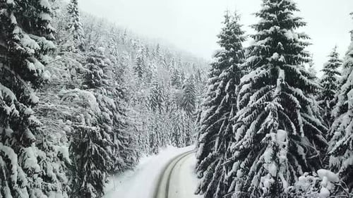 Route dans la forêt d'hiver, Route de campagne d'hiver avec forêt de sapins sur le côté
