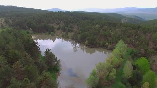Lake in the Forest