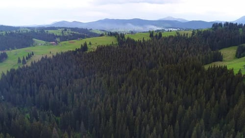 Rauch über Wald in Bergen