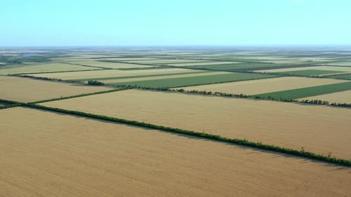 Agricultural Fields Aerial View