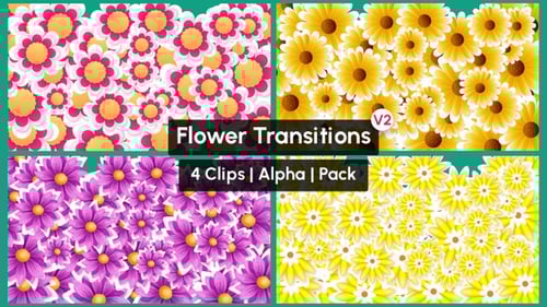 Flowers Transitions Pack v2 - 4 Clips Alpha