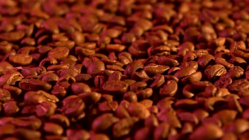 Coffee Beans Background with Purple Light, Rotation, Close Up