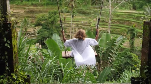 Back of a Woman on a Famous Balinese Rice Terrace Swings
