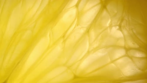 Macro Shot of Orange Fruit Flesh Structure