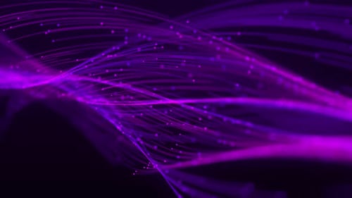 Internet Trails Crossing Purple