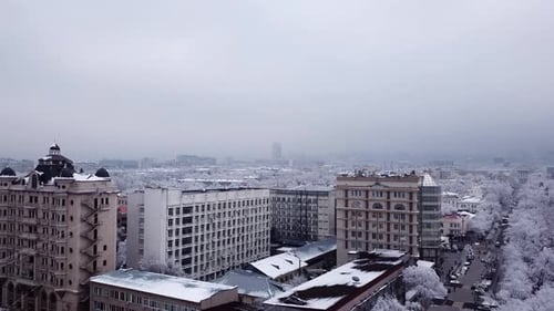 Snow-white trees among the stone houses of city
