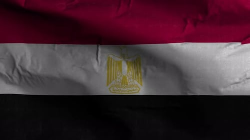 Seamless Looping Realistic Waving Egypt Flag