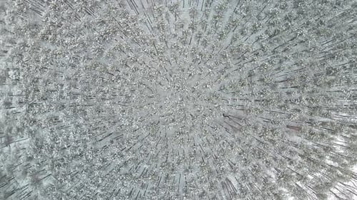High up top down aerial over snow covered pine trees in cold winter forest