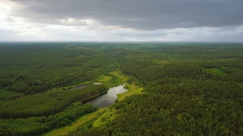 Waldsee In einer Landschaft