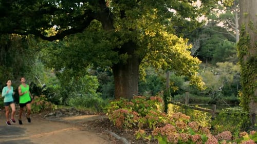Couple jogging in park