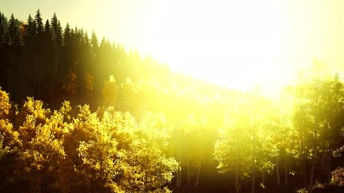 Coucher de soleil radieux dans les montagnes