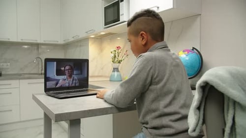Female Teacher Holding Video Call with School Boy Using Laptop Indoors
