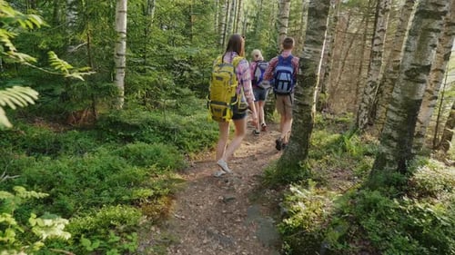 Back View of Young Tourists with Backpacks Walk Along a Trail in the Forest